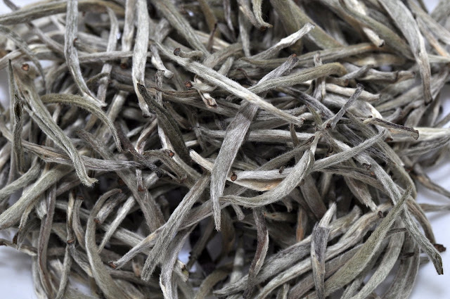 Khongea Assam Silver Needles