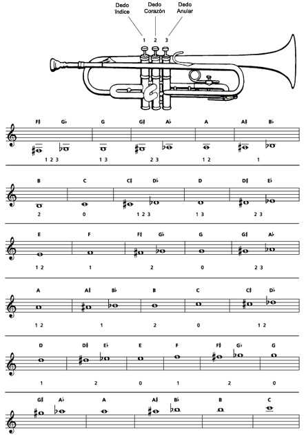 Como Realizar Las Posiciones De Las Notas En La Trompeta Musifanaticos