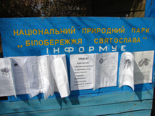 Нацпарк информирует и пугает: пауки, клещи, змеи, скаты-хвостоколы, водовороты. Не выжить!