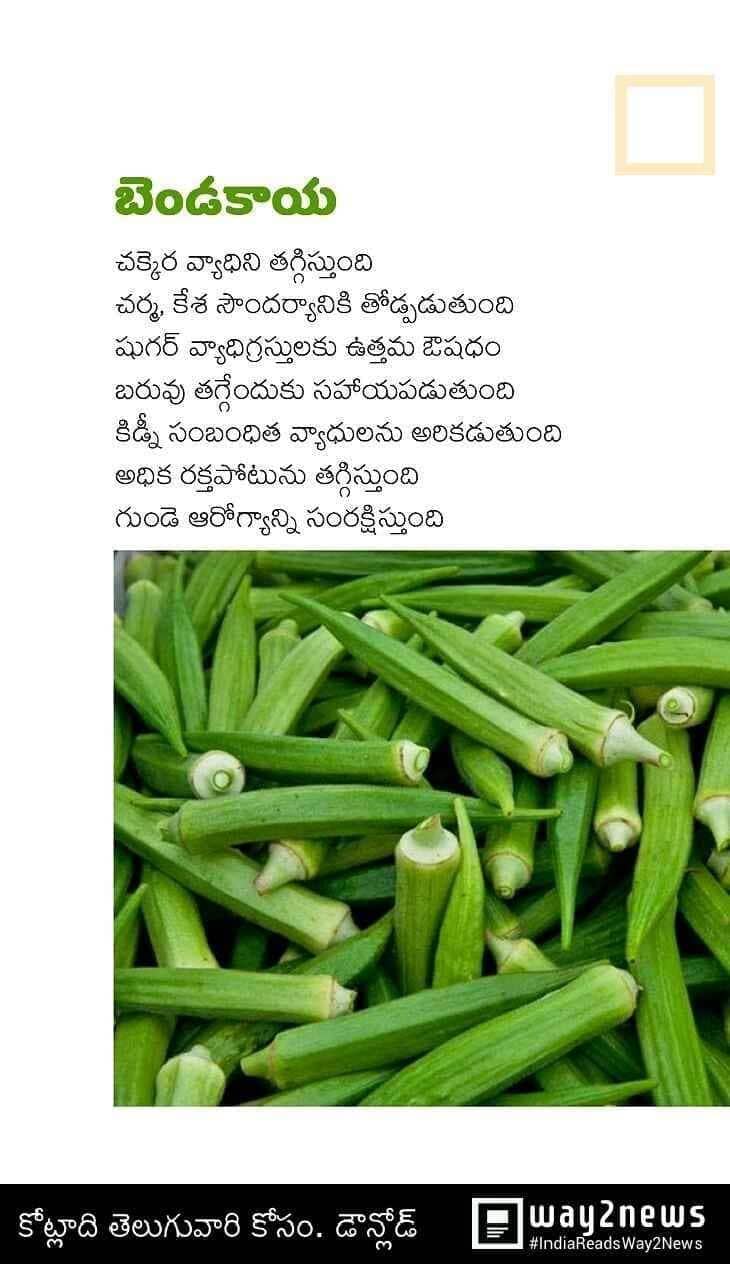 TELUGU WEB WORLD Top 10 Health Benefits of Okra (Lady's Finger) Top
