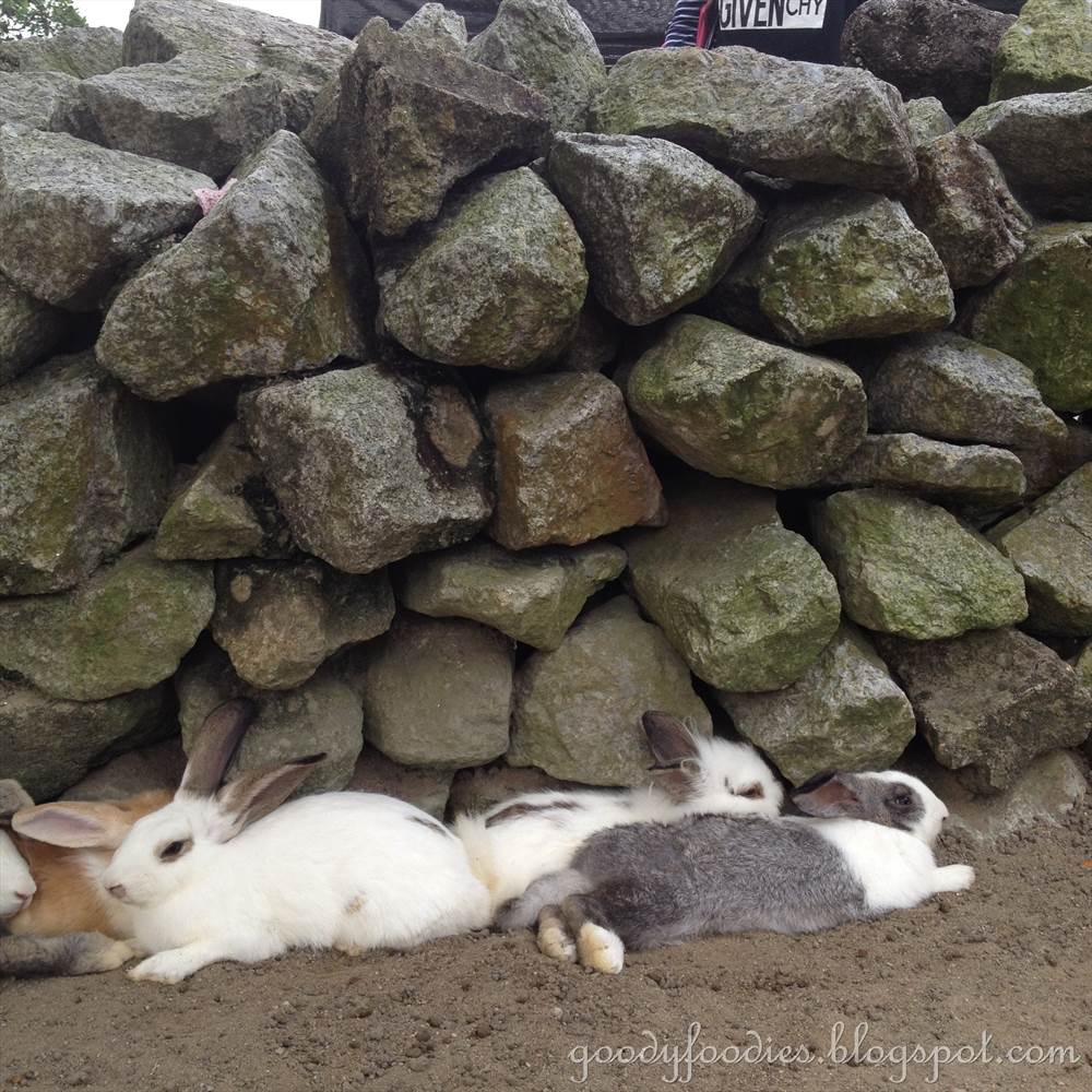GoodyFoodies Rabbit Fun Land, Semenyih