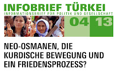 Infobrief Türkei 04/2013