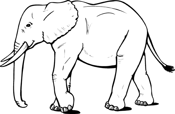 Coloring Pages Animals Elephant Big