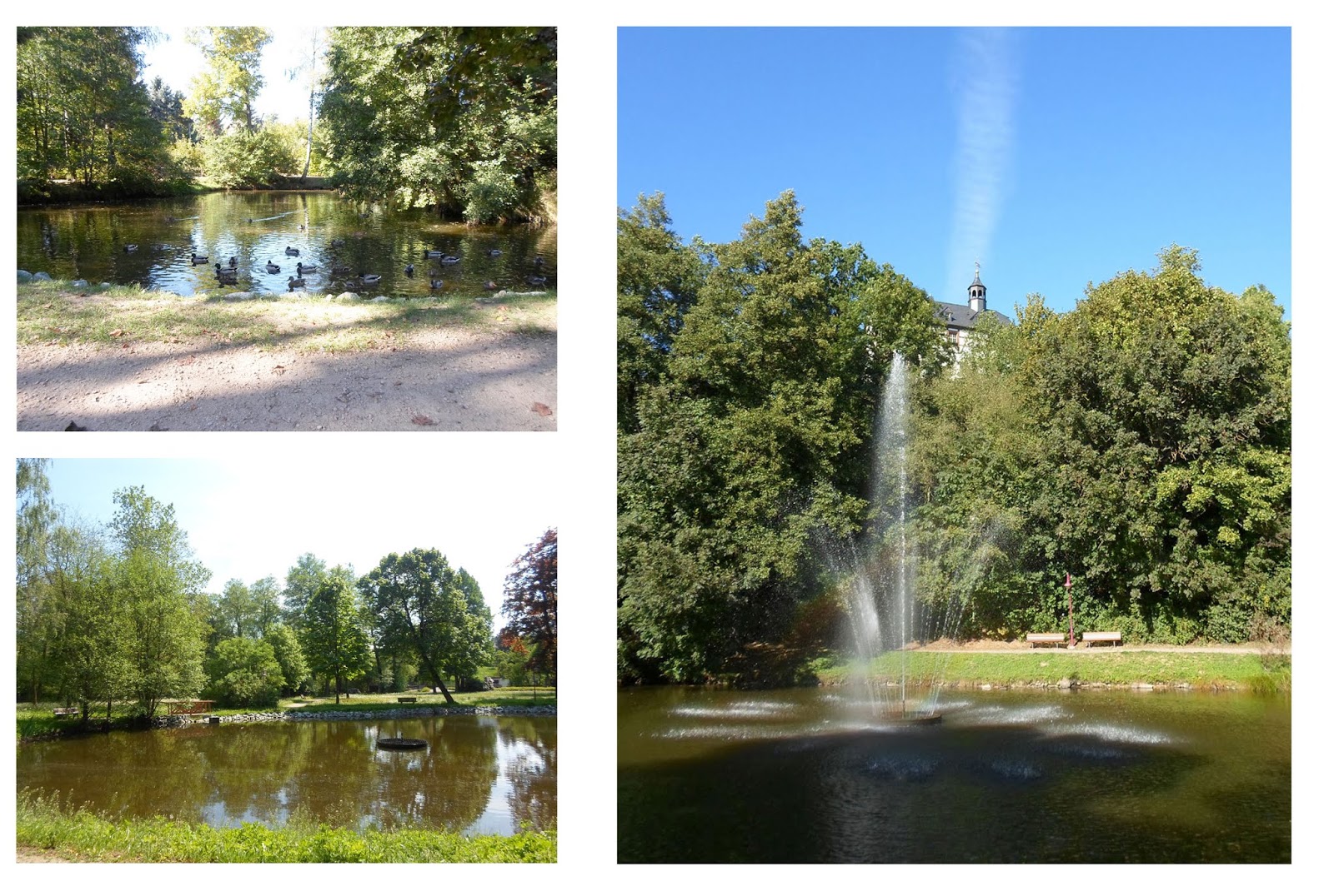 Rosarium Uwe Rosenkranz Rosary