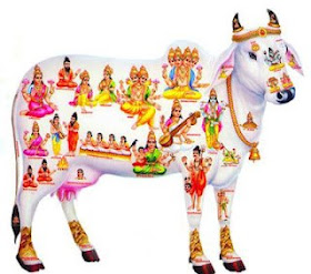 Bhagwan Ji Help me: INDIAN COW WALLPAPERS (COW WITH SRI KRISHNA)