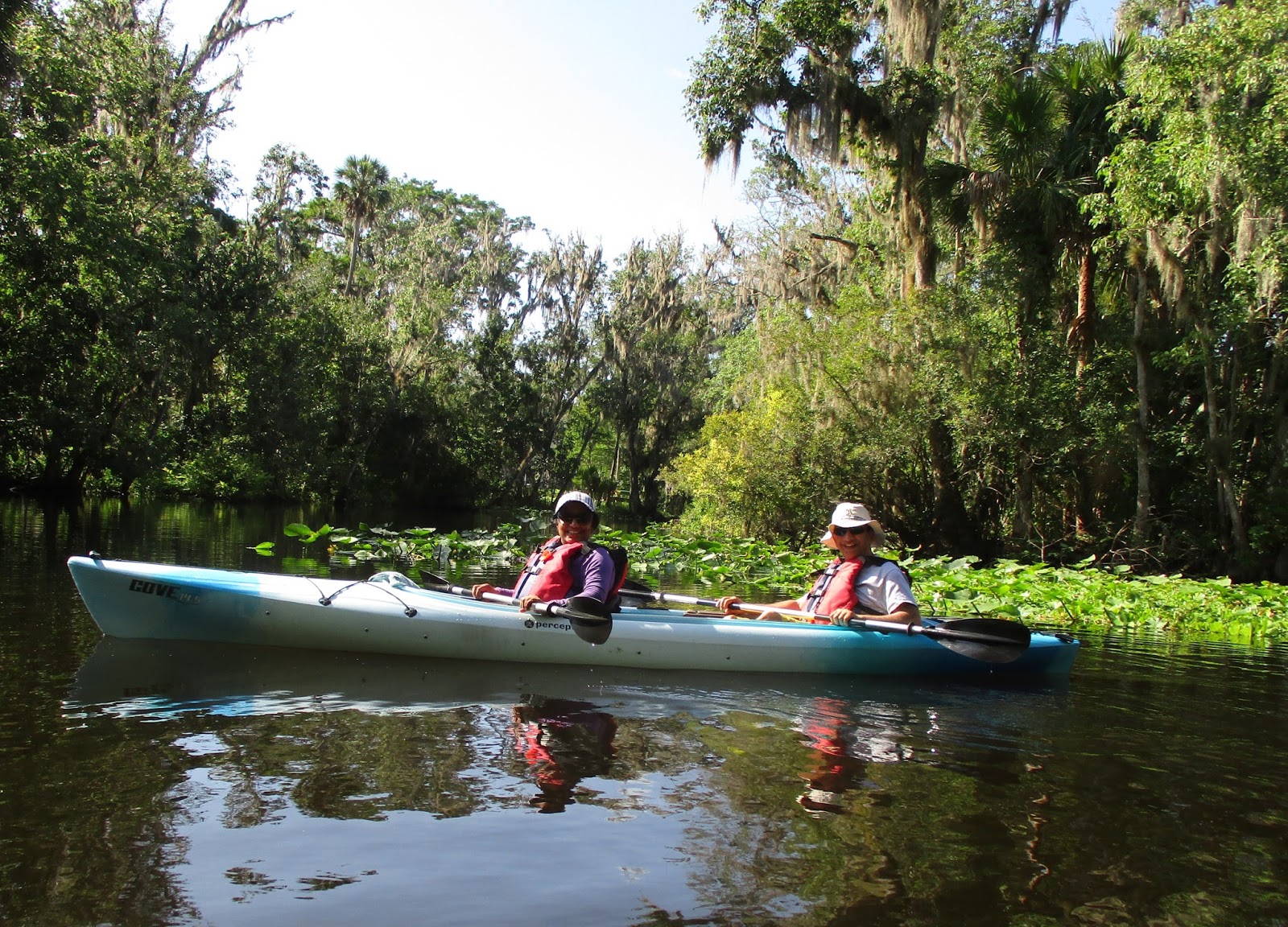Central Florida Kayak Tours Manatee Whisperers of the Wekiva River