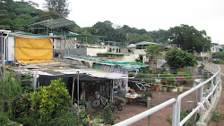Some homes on Peng Chau
