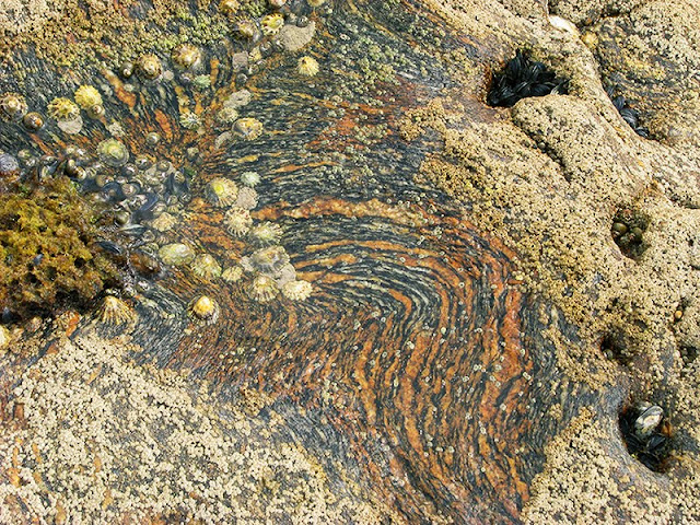 Roche armoricaine géologie en bretagne