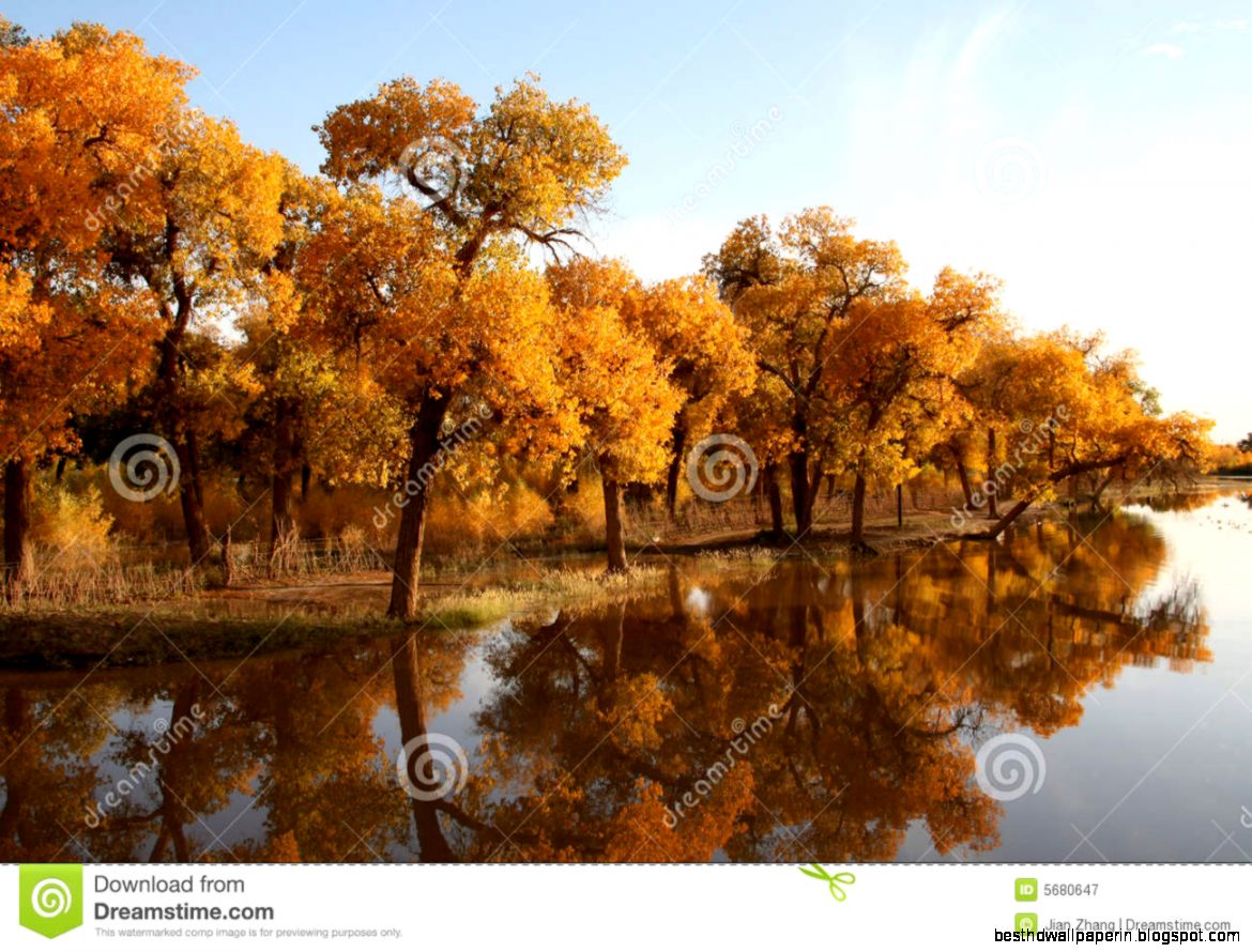 Scenery Royalty Free Stock Photography   Image 5680647