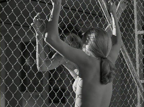 Angelina Jolie Elizabeth Mitchell topless kissing fence movieloversreviews.blogspot.com