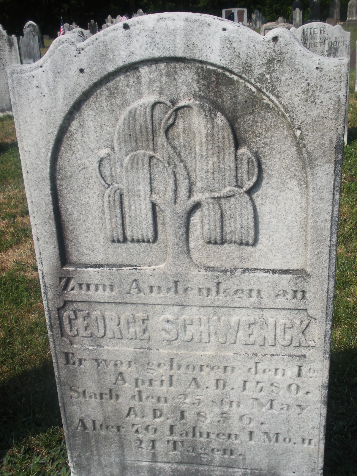 Engraved The Art of Making a Willow Weep