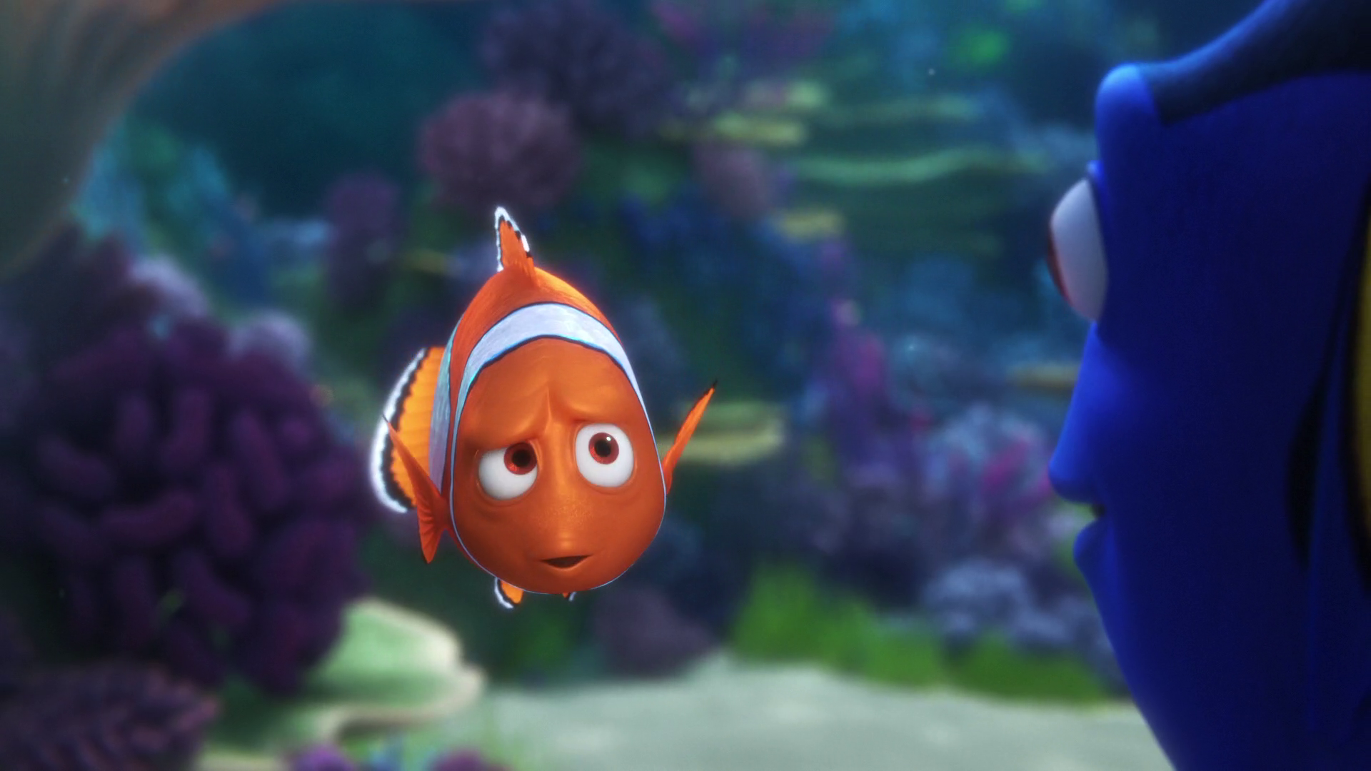 Buscando a Nemo Torrent Descargar MicroHD-1080p Bajar Gratis