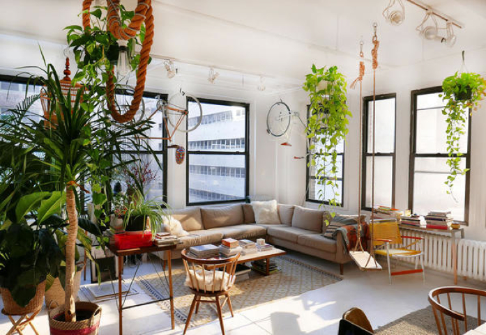 Sun drenched loft filled with plants