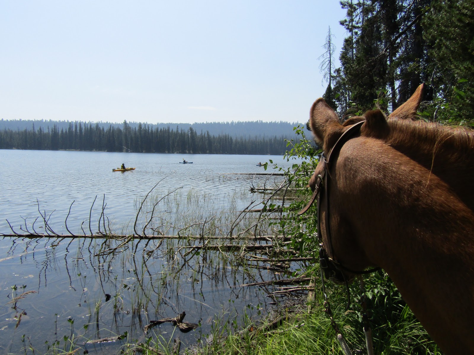 Holly's Horse Tales and Trails Cultus Corral Horse Camp, Three Sisters Wilderness, Oregon