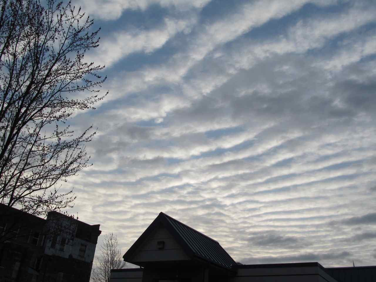 DJanity A mackerel sky and burning calories