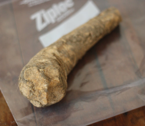 How To Plant Grow Horseradish Root 17 Apart