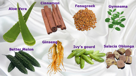 pengobatan herbal diabetes tipe 2