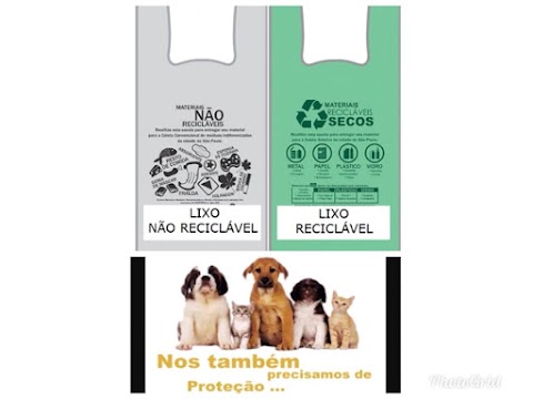 Subvenção para o Adota Patos e Lei das sacolas verdes e cinzas