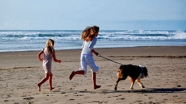 girls, dziewczyny, kobieta, dziecko, plaża, dyscyplina, systematyczność, pies