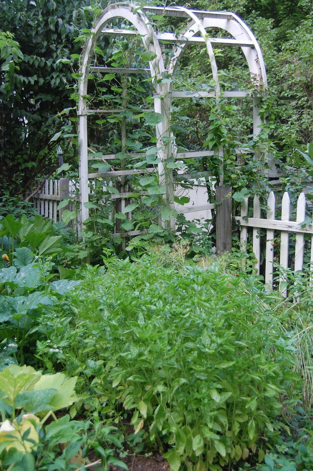 Sprouts Southern Maine