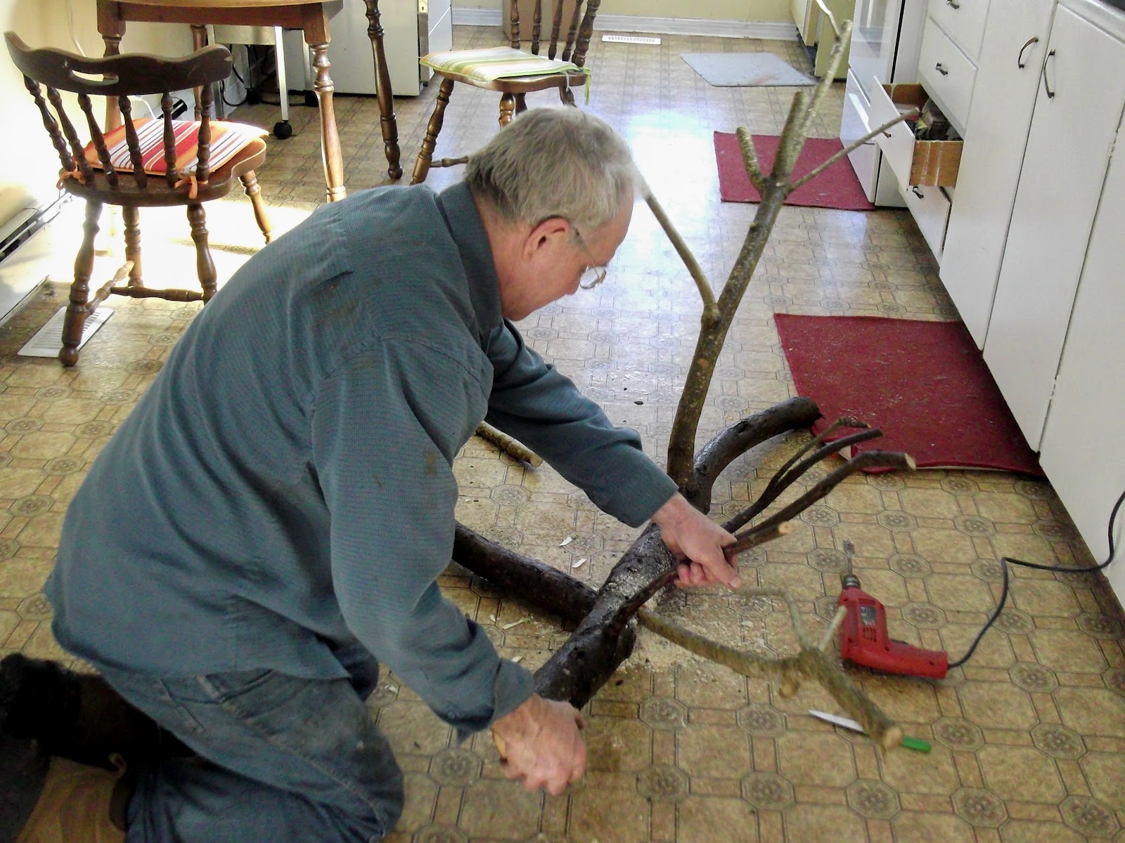 Cat Collar with BellCats and Their Mews How To Build A Cat Tree