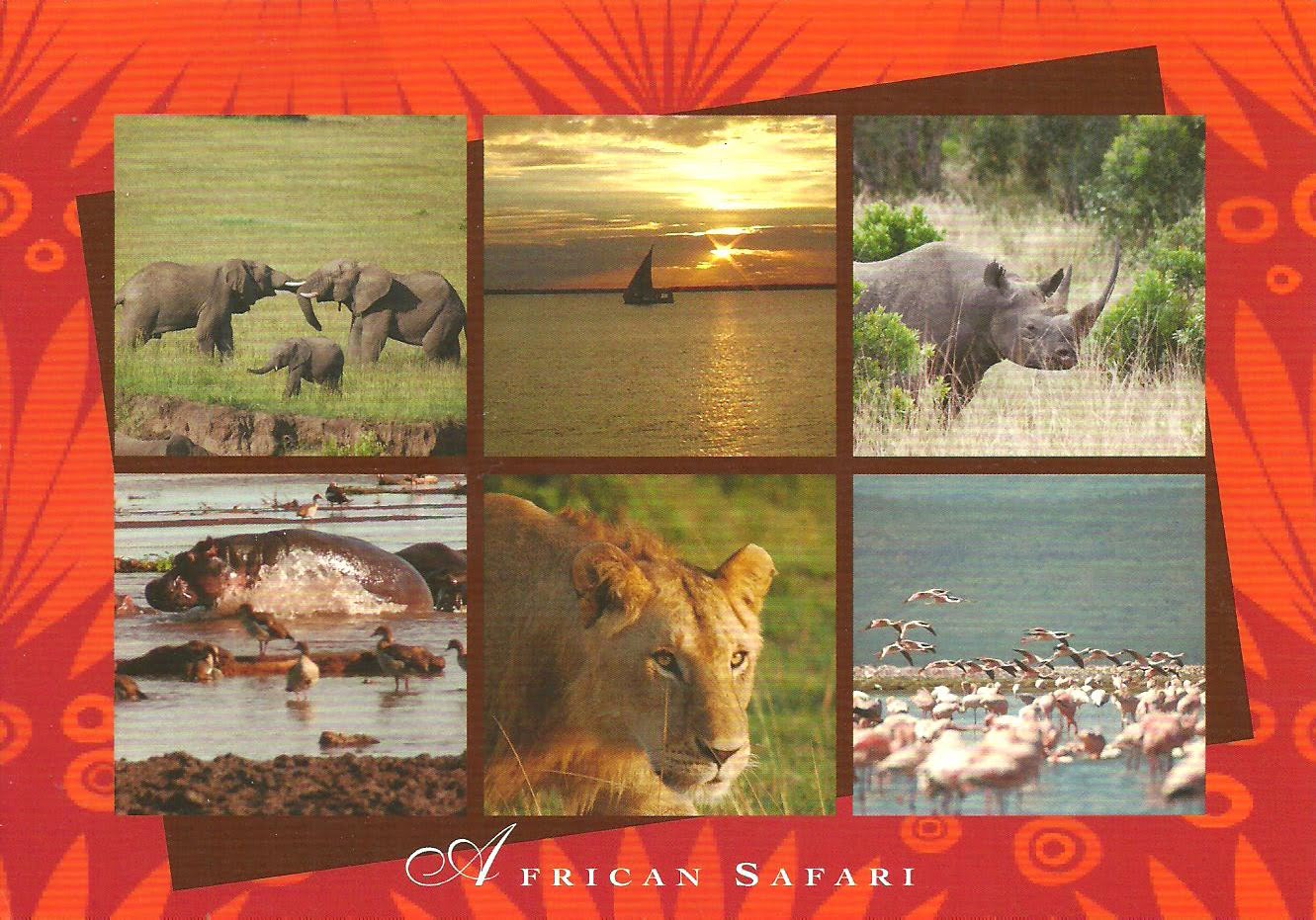 Collecting postcards from all around the world Kenya safari