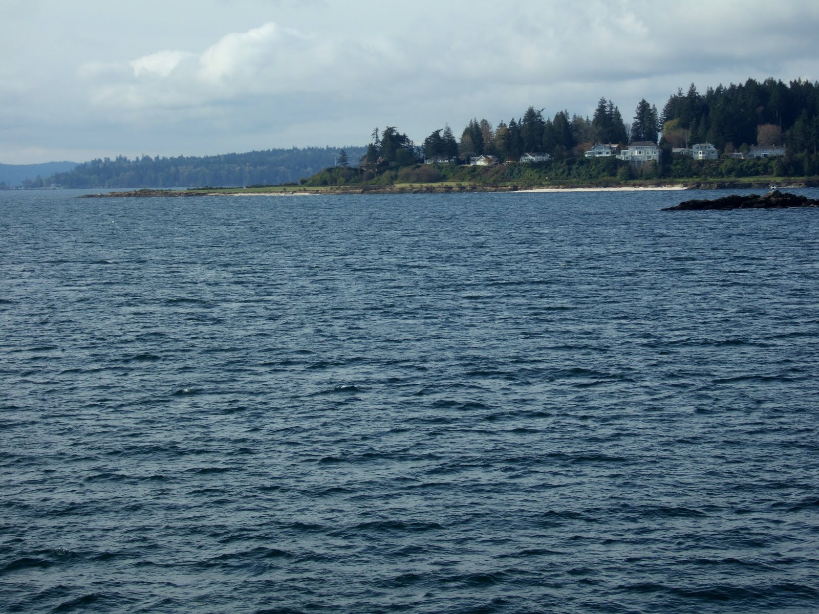 Reading the Washington Landscape Raised Beach along the Seattle Fault