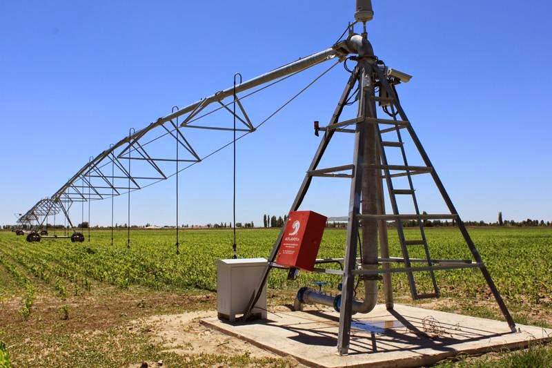 加州農業運用科技 發展可持續的精準農業（precision agriculture）