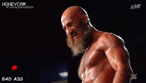 31.gif