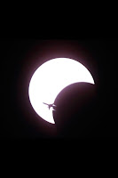 avion pasando por el eclipse del 20 de mayo 2012 