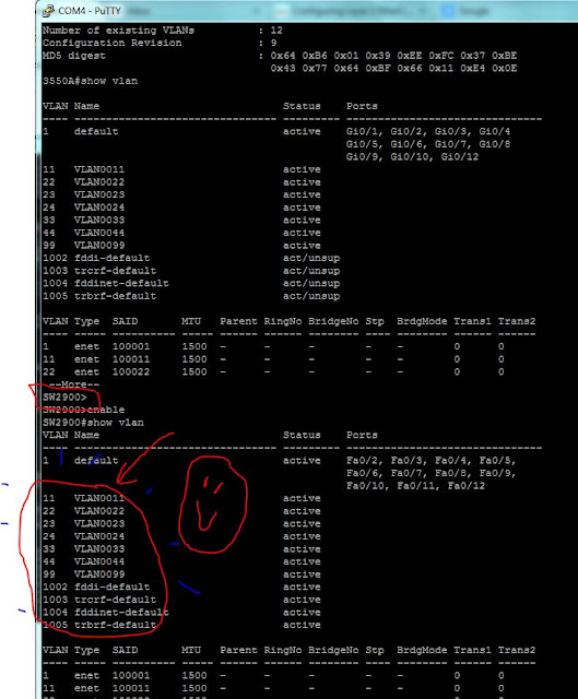 Trunk lab with Real Cisco switch Cisco labs CCNA