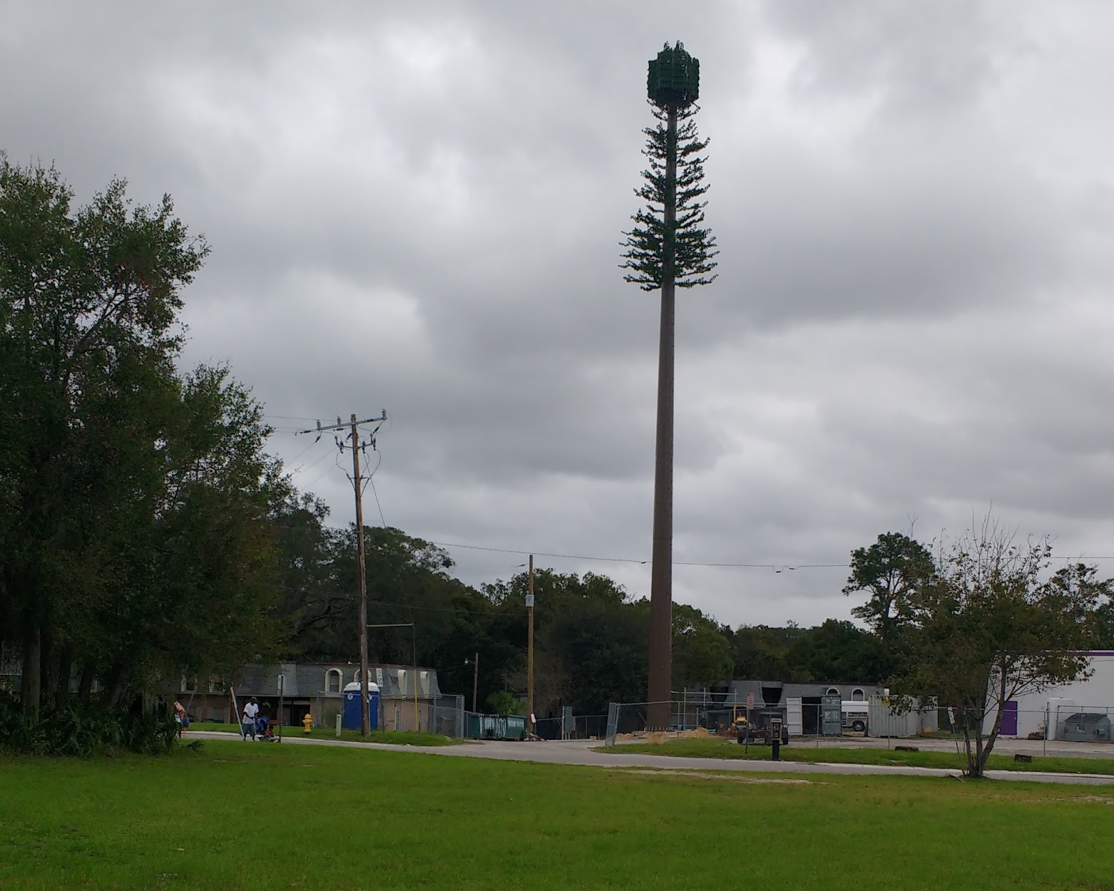 New Jax Witty Cell Towers That Look Like Giant Trees Look Like Cell