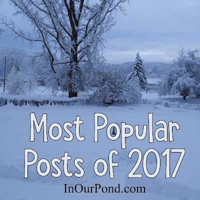 Most Popular Posts of 2017 from In Our Pond