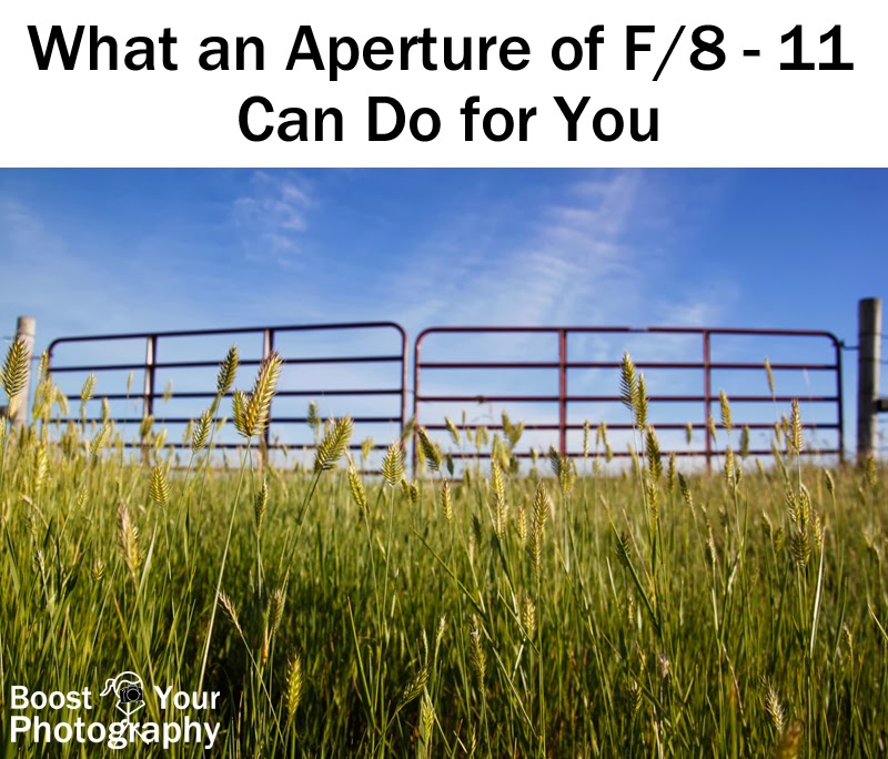 What an Aperture of F/8-11 Can Do for You | Boost Your Photography