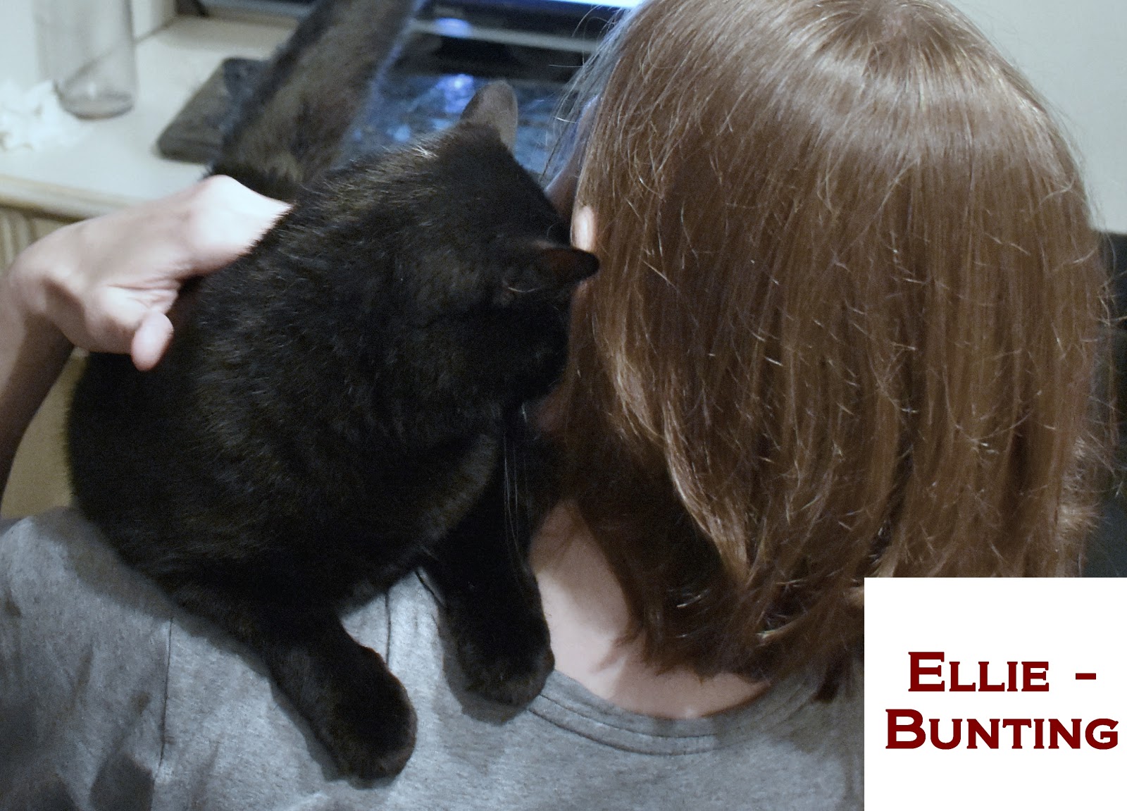 Do cats need human interaction or are they completely fine on their own