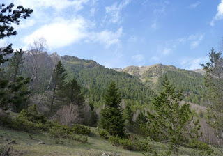 Parque Nacional de Aigüestortes y Estany Sant Maurici.