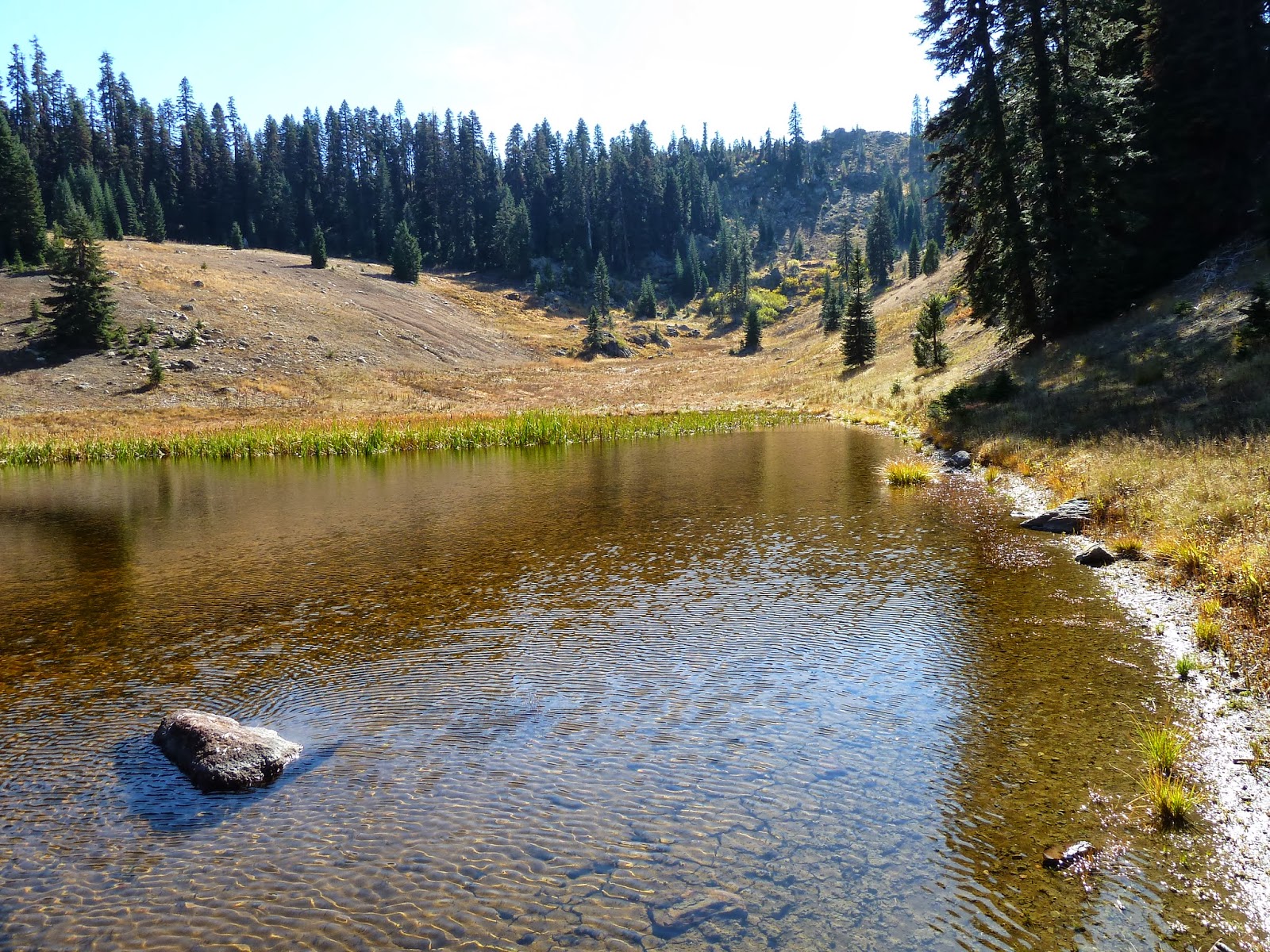 The Siskiyou Crest : Hinkle Lake Revisited: The Beginning of Recovery