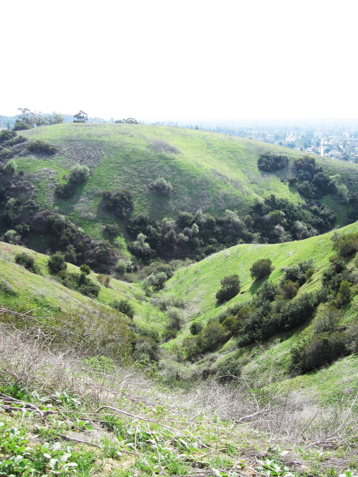 Lilly and the brothers Of Trees and Trails Hellman Wilderness Park