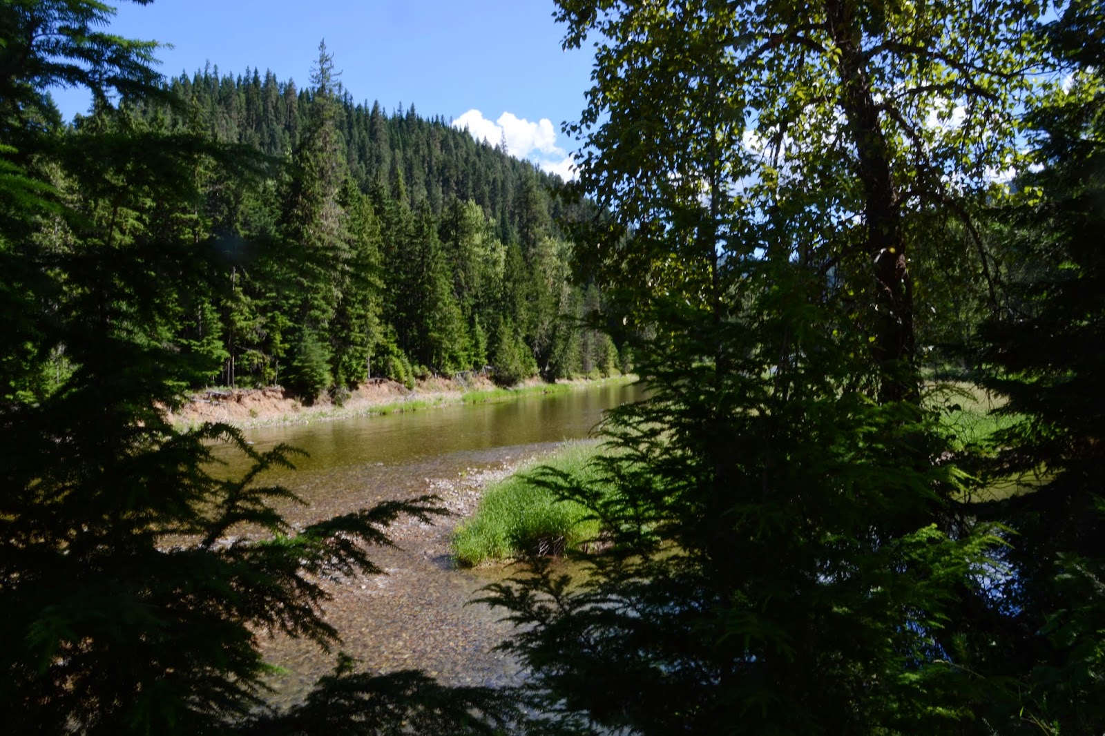 kellogg bloggin' North Fork of the Coeur d'Alene River 07/07/14