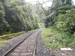 "Madgaon- Belgavi rail route" that passes along the " Dudhsagar Waterfalls Bridge".