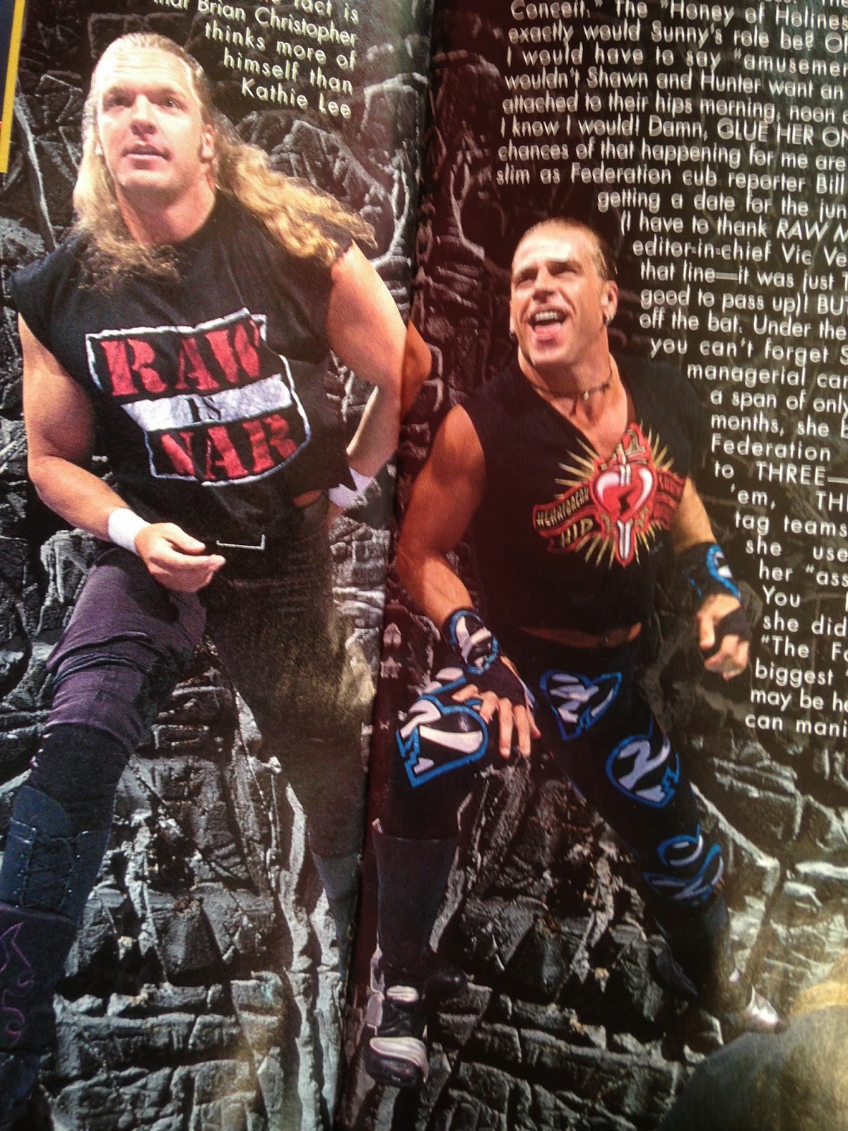 WWF MAGAZINE - JANUARY 1998 -  Triple H and Shawn Michaels