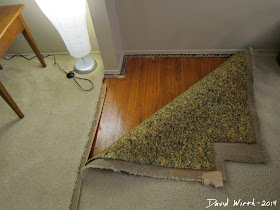 home depot carpet, carpet pad, hard wood floor