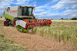 Forage harvester. Claas Lexion 420