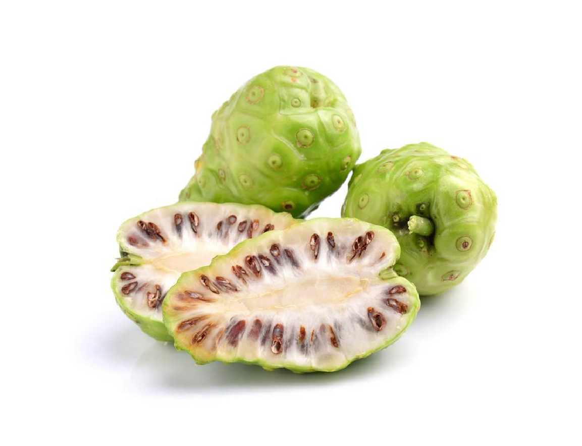 Noni Fruit Benefits for Better Life FRUITS