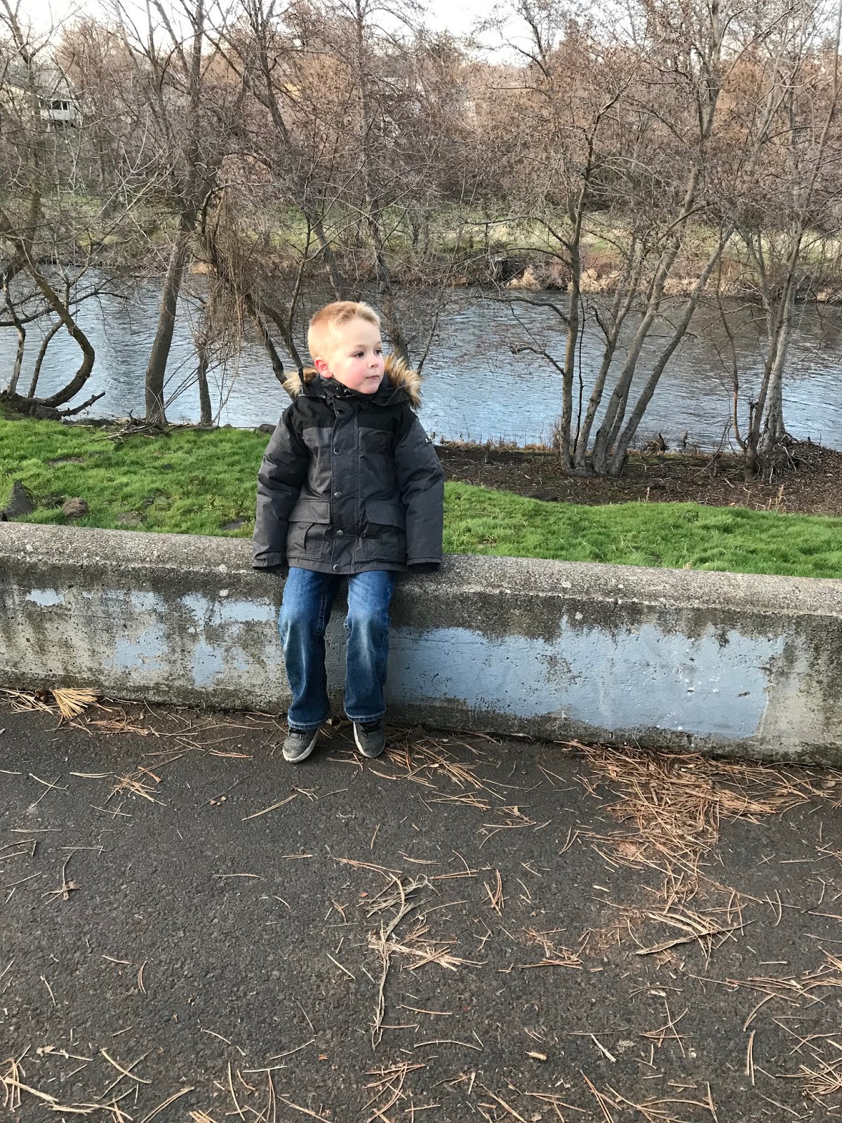 Take A Gander At The Gee S Random January Pics