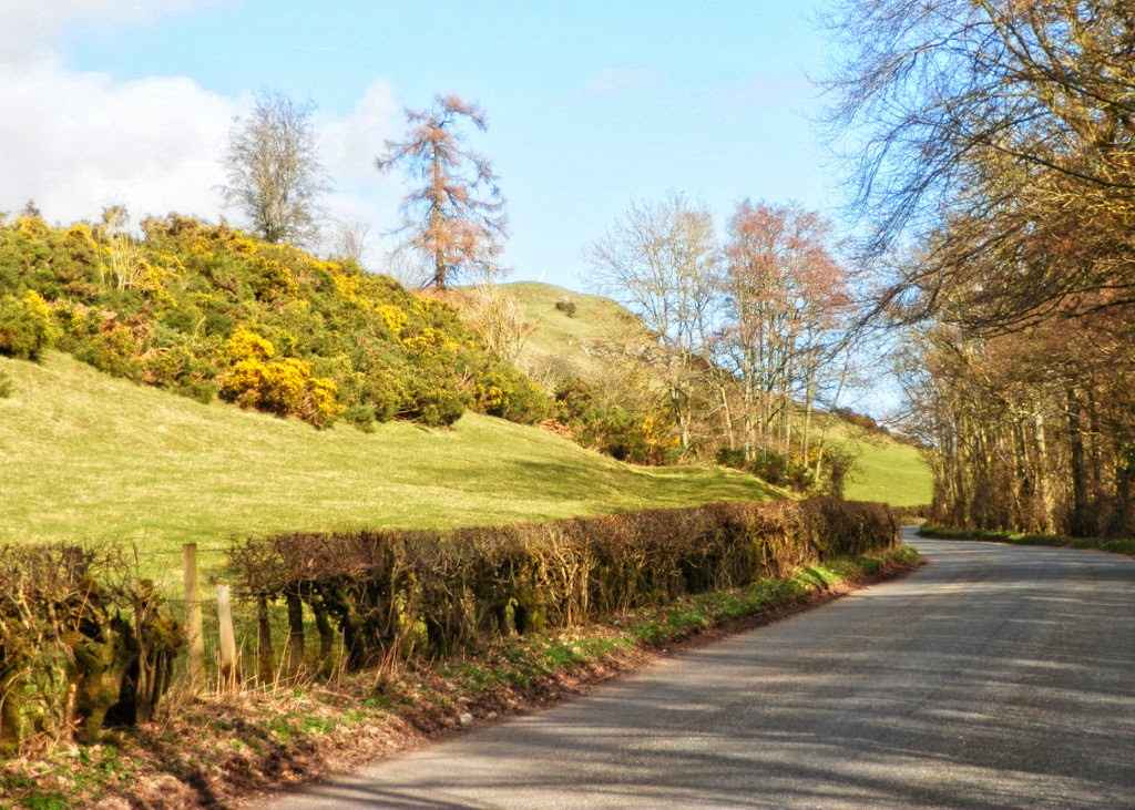 My Daily Walk Craig Rossie, Auchterarder