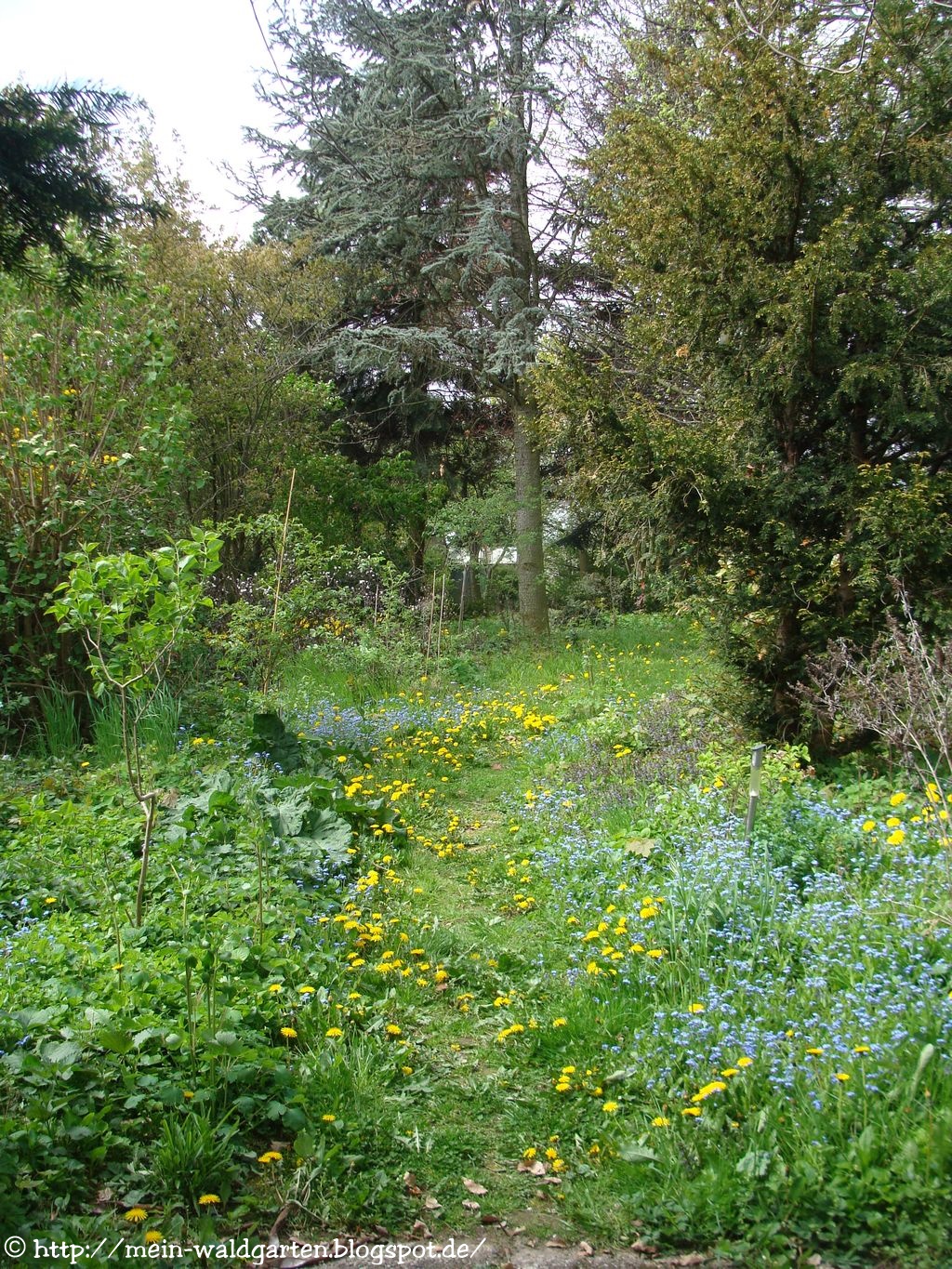 © Mein Waldgarten Einmal wie in Sissinghurst