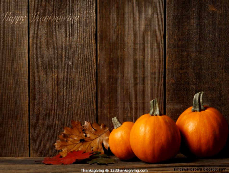 Thanksgiving Pumpkin   Free Large Images