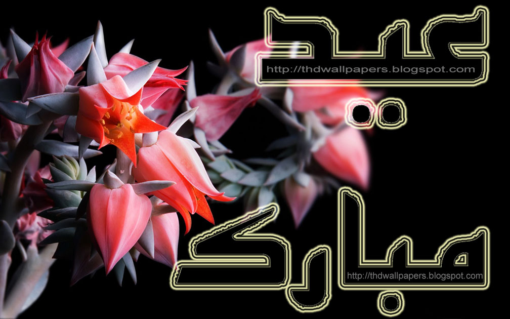 wallpaper proslut Free Eid Mubarak Cards Red Flowers