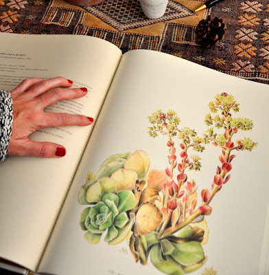 libro de botanica, dibujos de mary annie kunkel